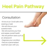 The consultaion and scans to determine the issue