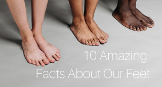 10 amazing things about our feet